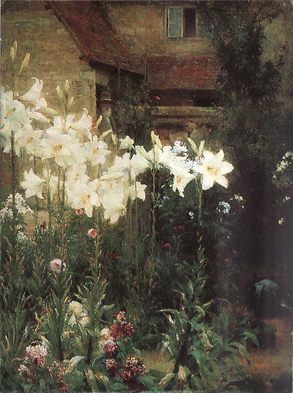 A Cottage Garden